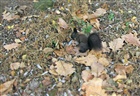 dailyPhoto37